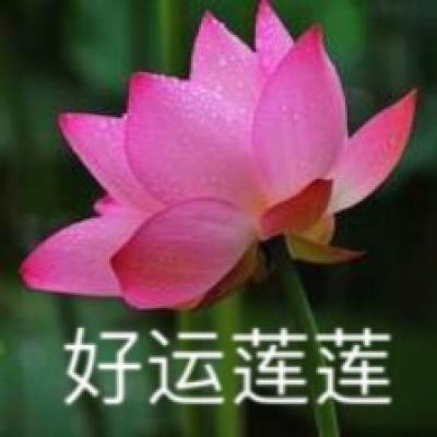 攻与守九游最新版下载